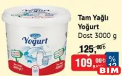 DOST TAM YAĞLI YOĞURT 3000 G